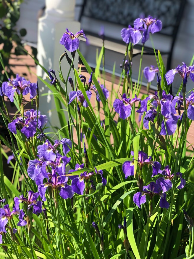 66e926cb-88a7-449f-bca5-130f7f807489