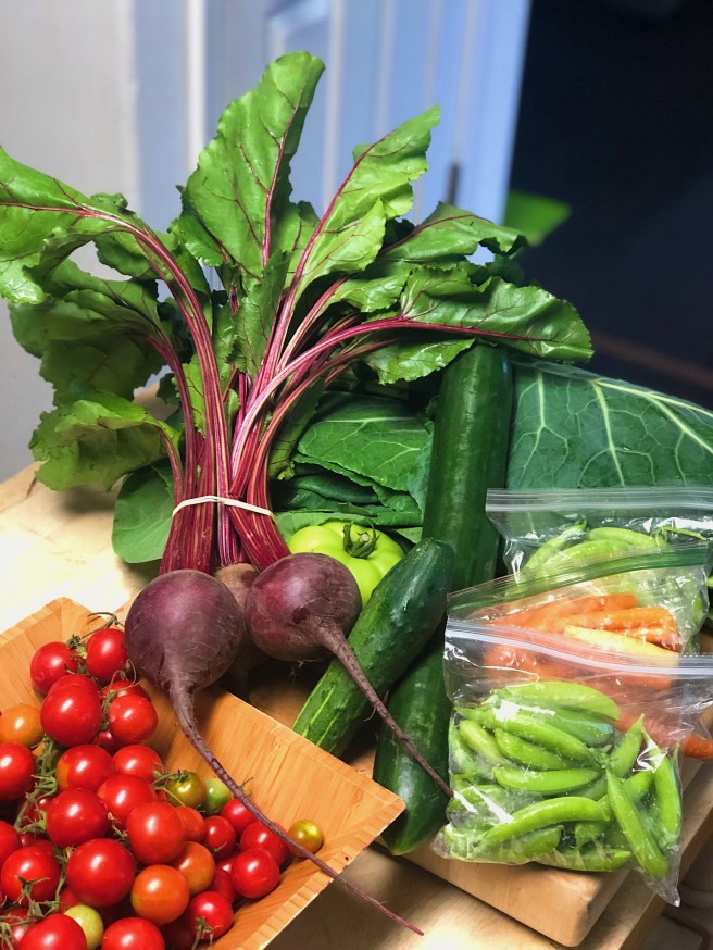 77d922b9-c5c2-48c5-88d2-ecb80b7cf905