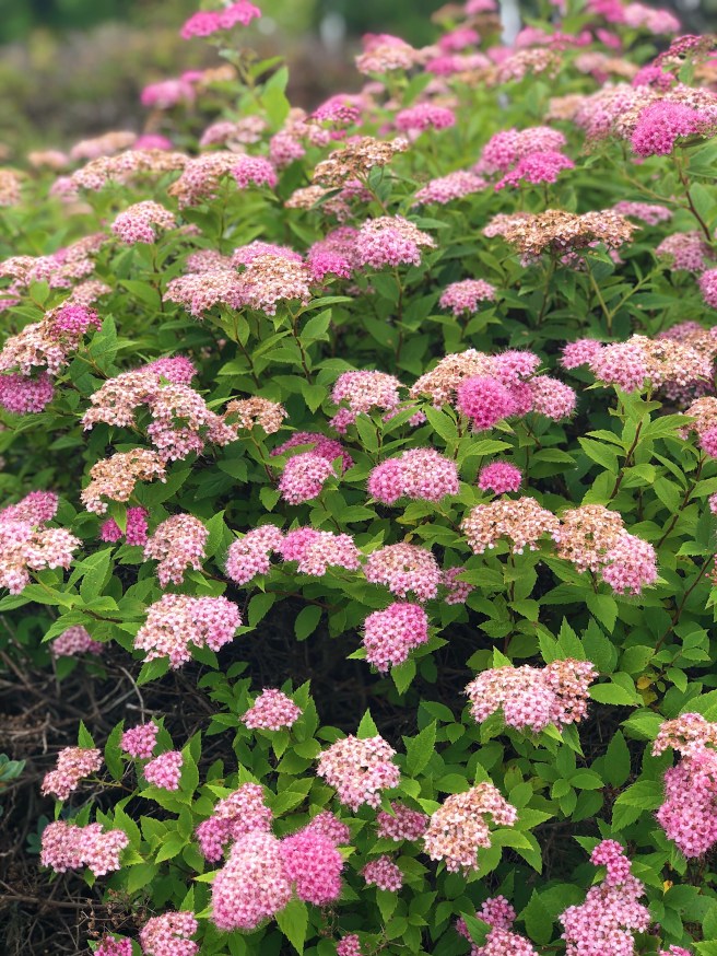 7b00b71a-235f-495f-beb4-95c2f1291c6f-1