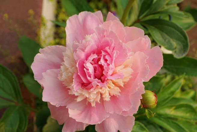 8656c605-52e4-40ea-a981-923953ae57ea