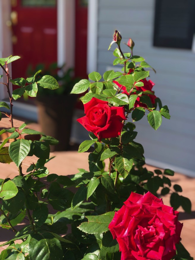 f33b1850-e14b-48db-94b8-0933a7544cf4