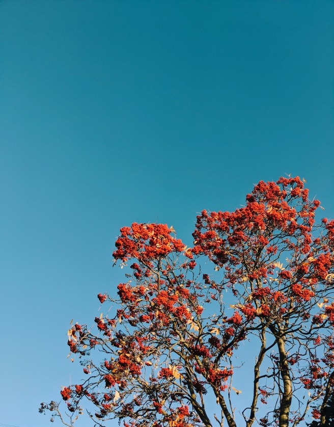 Processed with VSCO with q5 preset