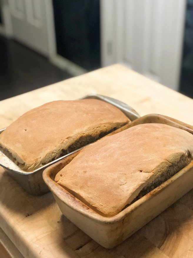 0e402046-b4ce-4322-9812-a2fff93334f1